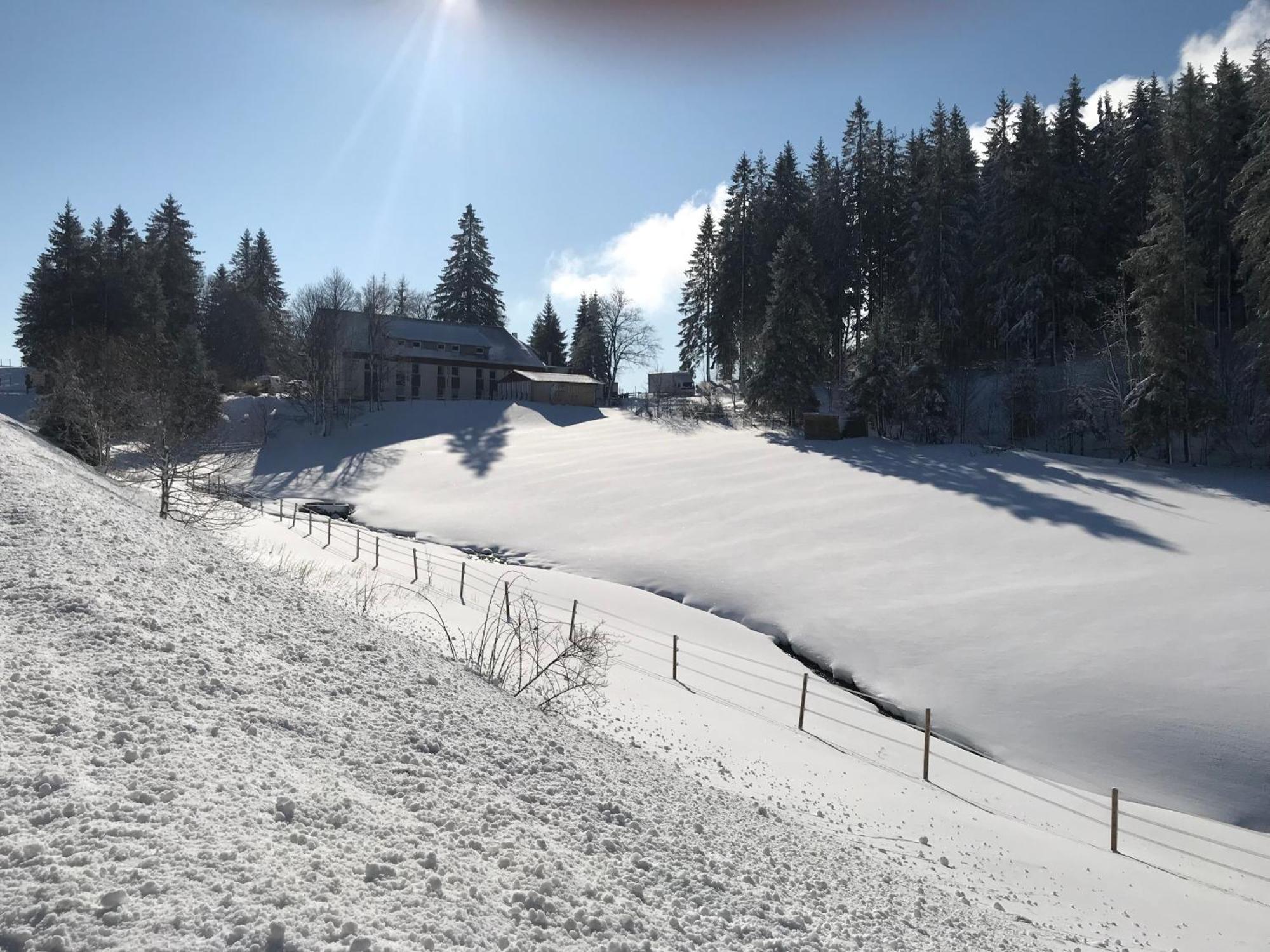 Waldhotel Auerhahn "Hochkopfhaus" 托特瑙 外观 照片