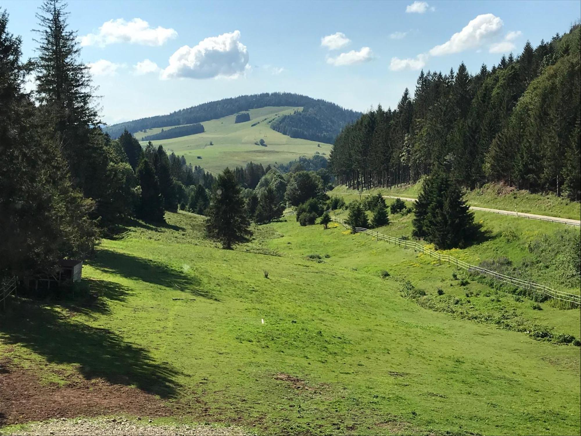 Waldhotel Auerhahn "Hochkopfhaus" 托特瑙 外观 照片