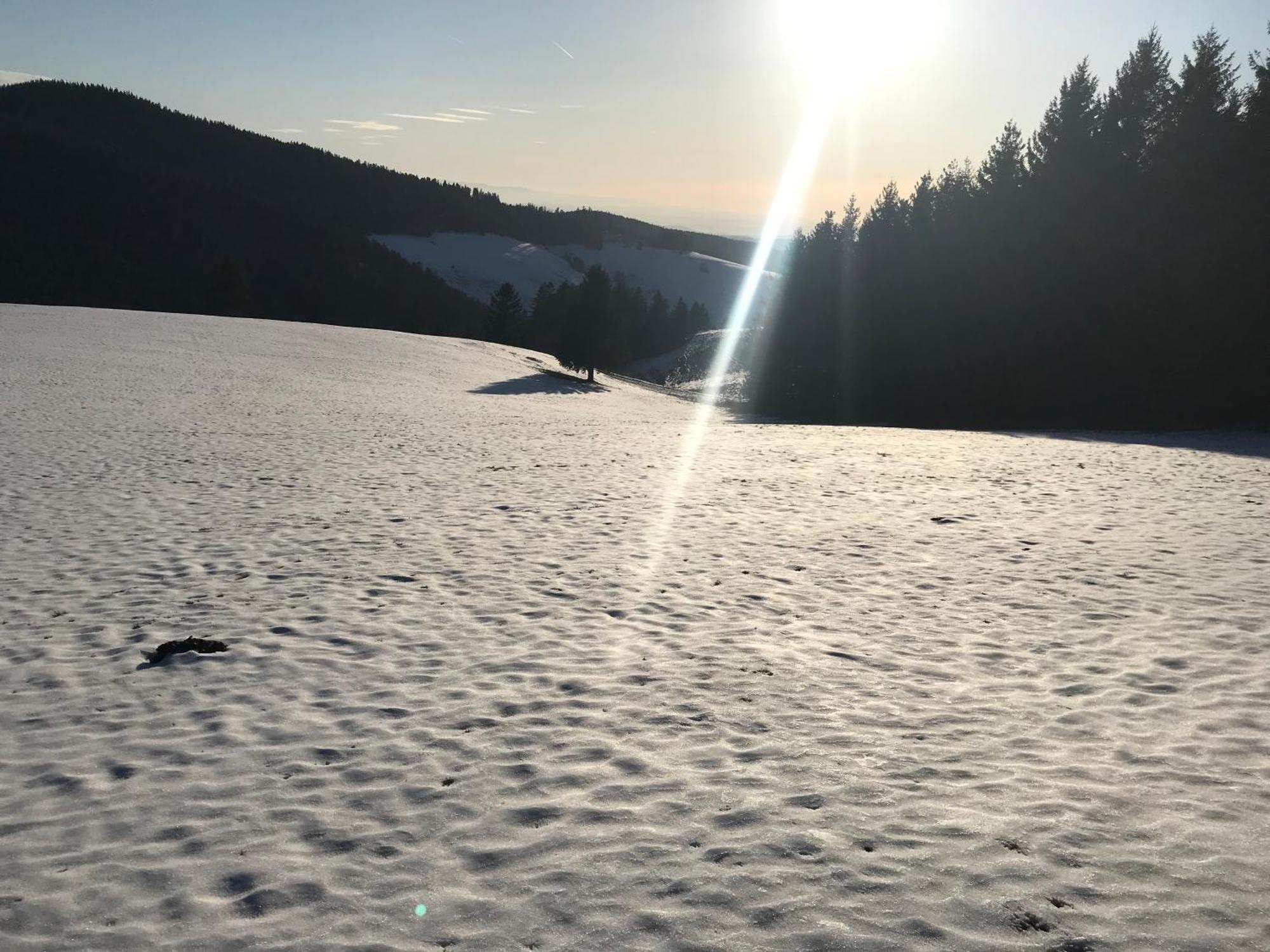 Waldhotel Auerhahn "Hochkopfhaus" 托特瑙 外观 照片