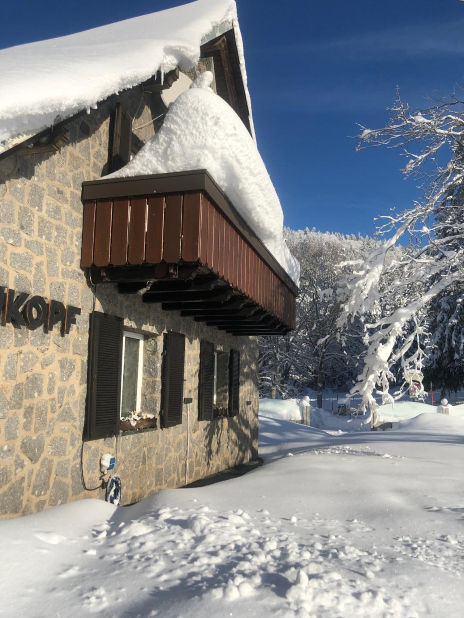 Waldhotel Auerhahn "Hochkopfhaus" 托特瑙 外观 照片